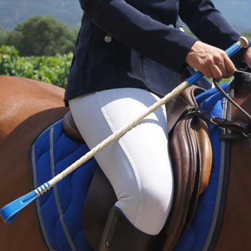 Vente de cravache en ligne