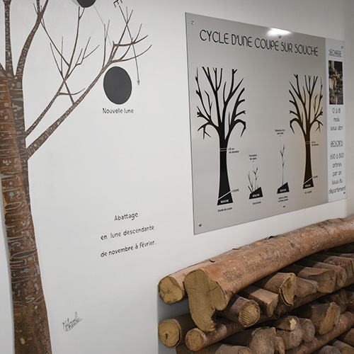 Visite atelier bois Sorède, boutique