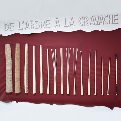 Visite guidée ESAT les micocouliers Sorède