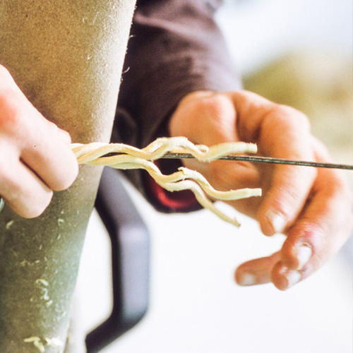 Visite guidée bois de micocoulier