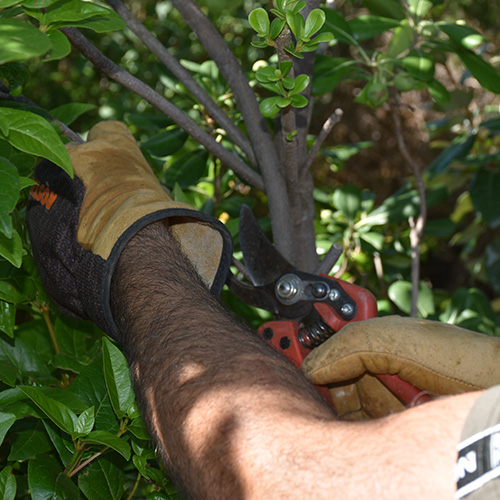 nettoyage, entretien espaces verts